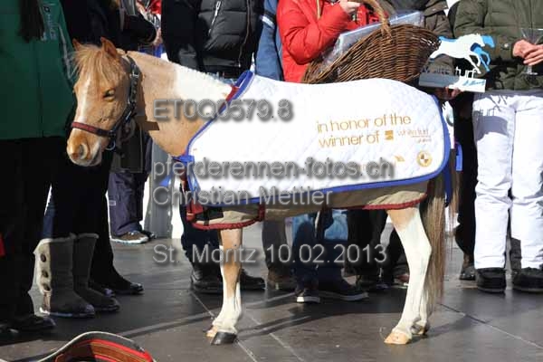 ET0Q0579.8 prot